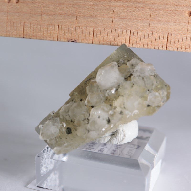 【レア産地】モロッコ El Hammam mine フローライト 蛍石 El Hammam鉱山 フローライト | 鉱物標本,ハ行,フローライト/蛍石