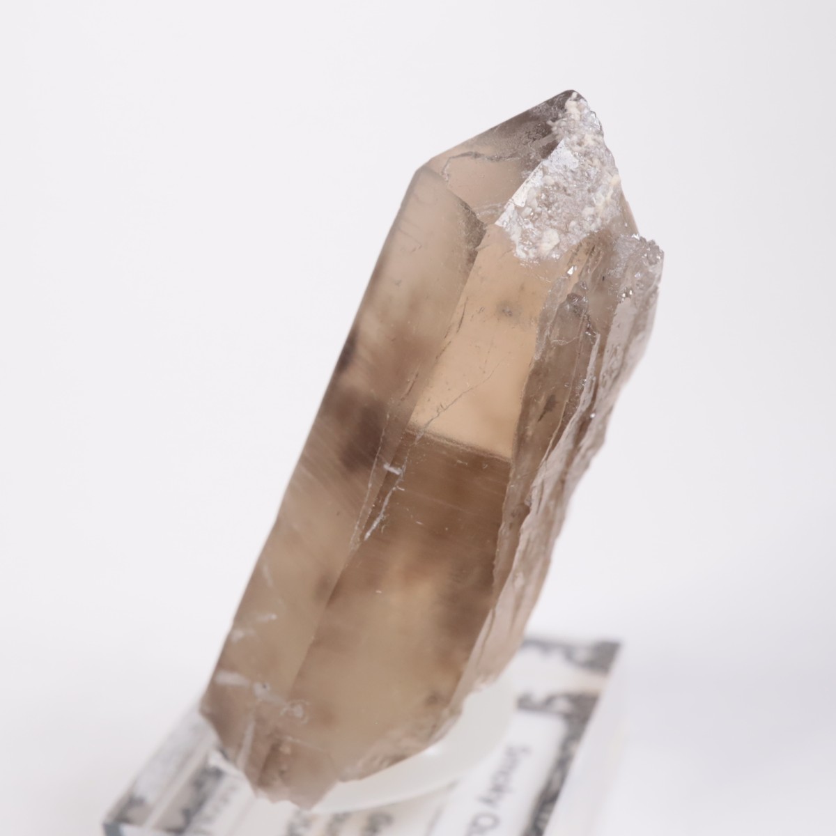 K.C.S.D�ۻ� ���⡼������������