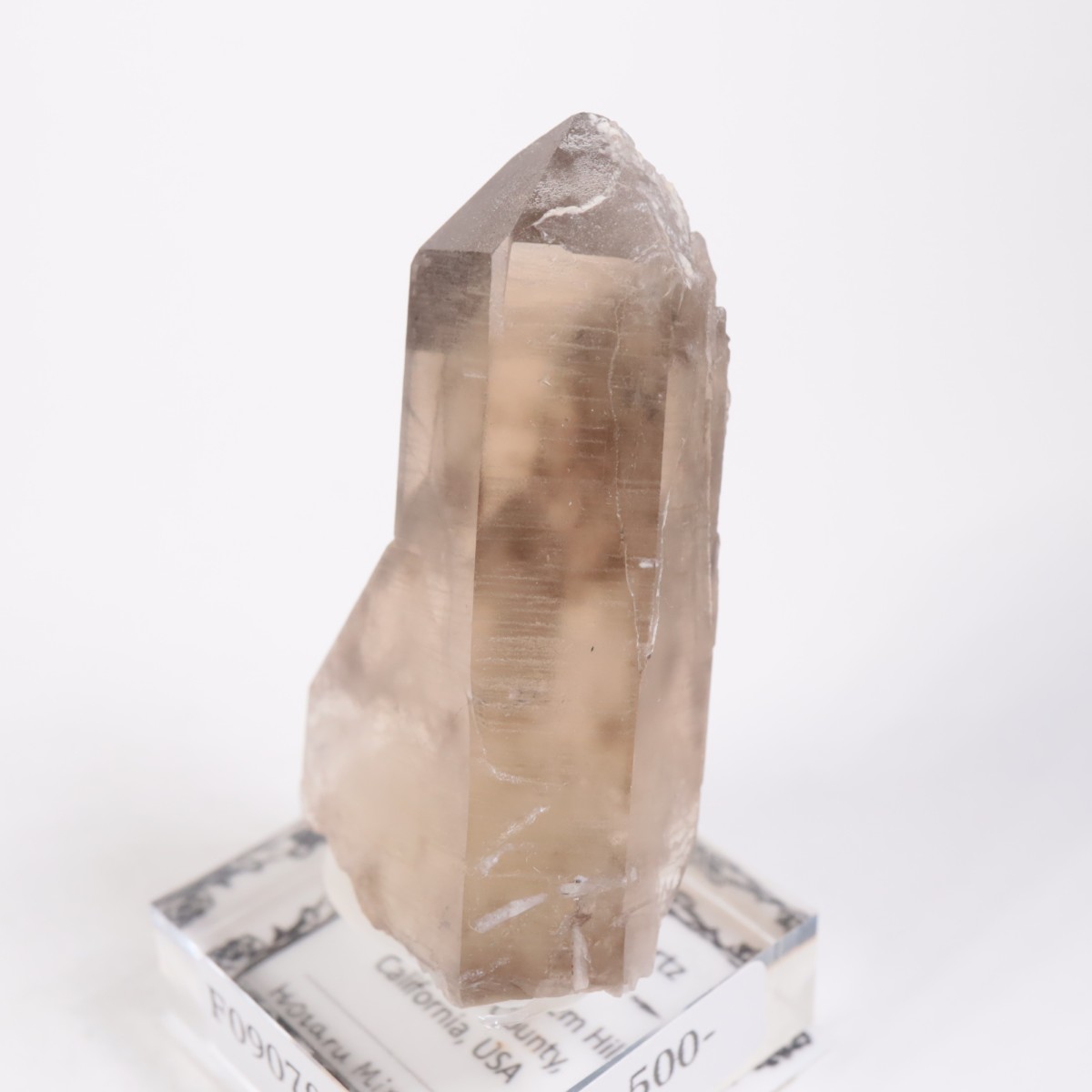 K.C.S.D�ۻ� ���⡼������������