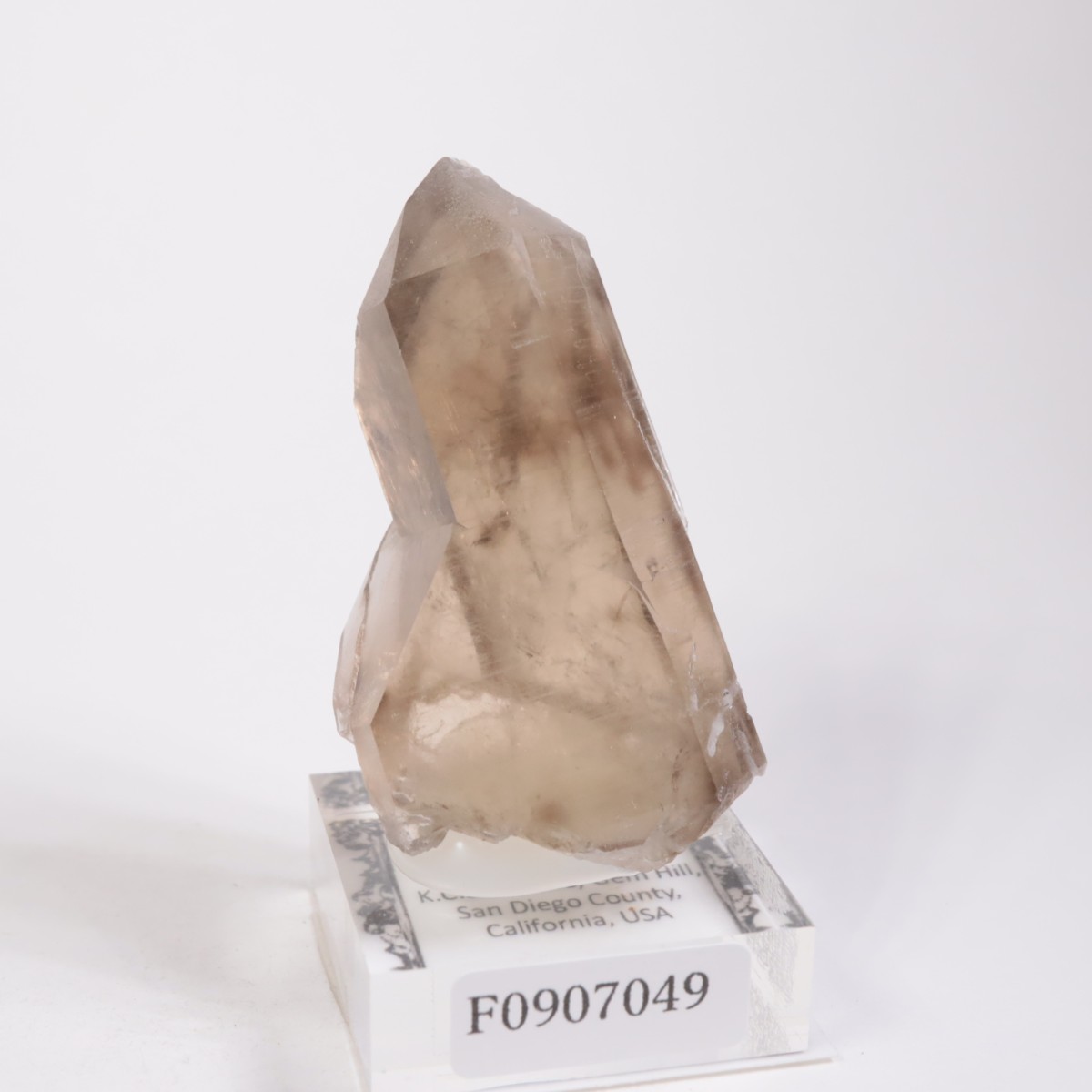 K.C.S.D�ۻ� ���⡼������������