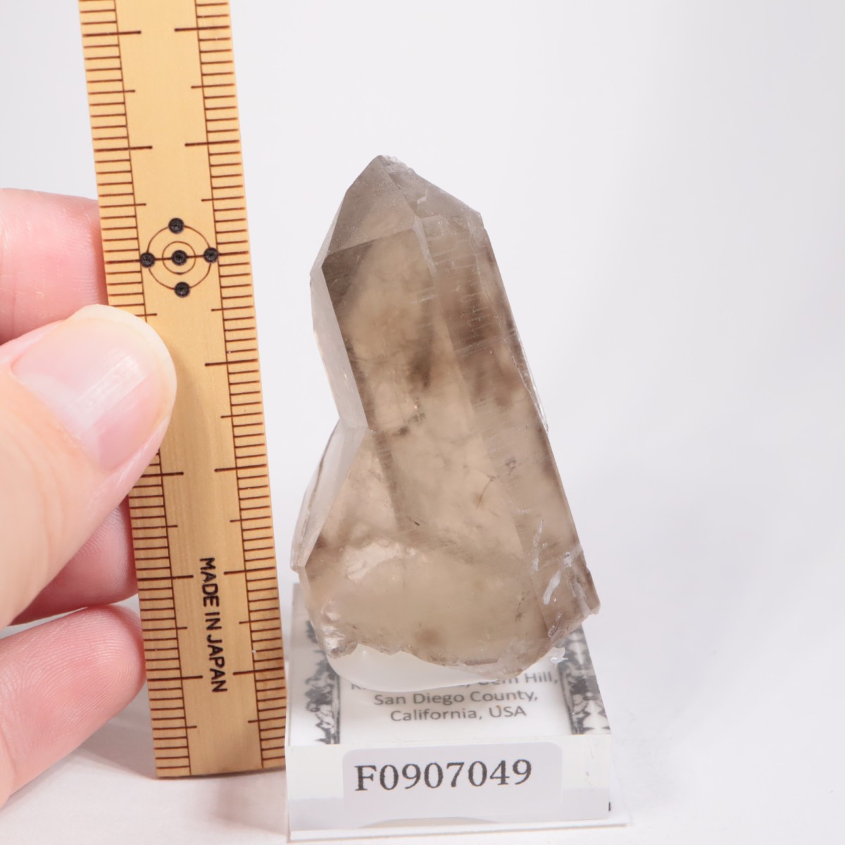 K.C.S.D�ۻ� ���⡼������������