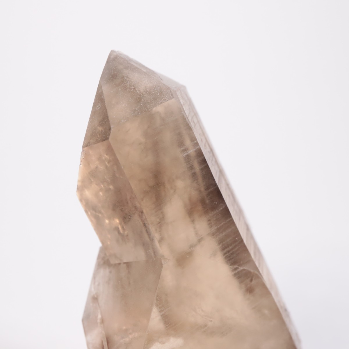 K.C.S.D�ۻ� ���⡼������������