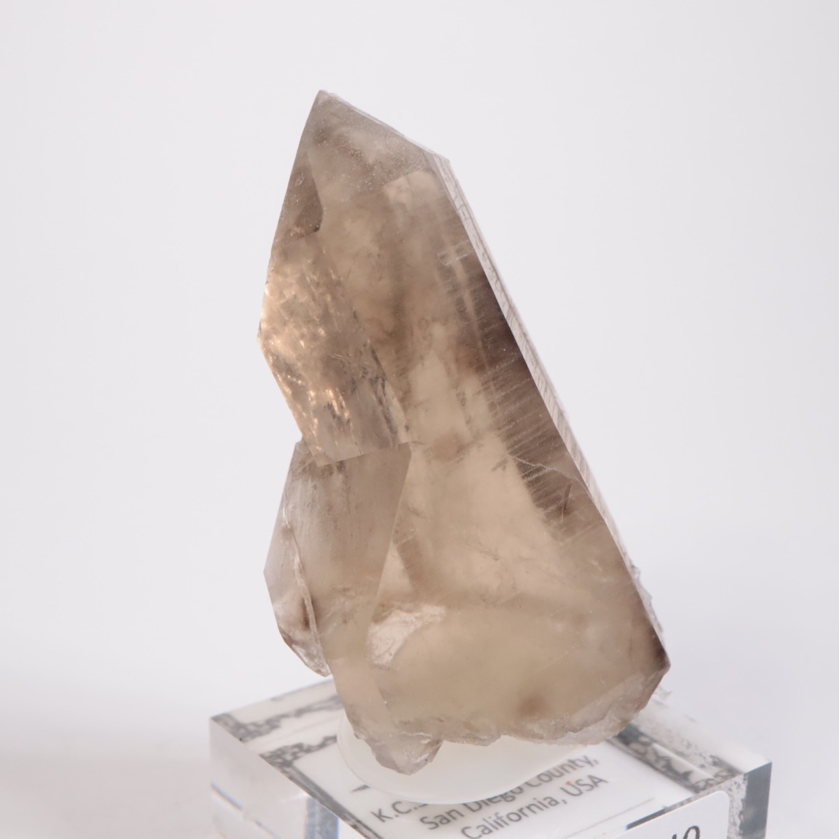 K.C.S.D�ۻ� ���⡼������������