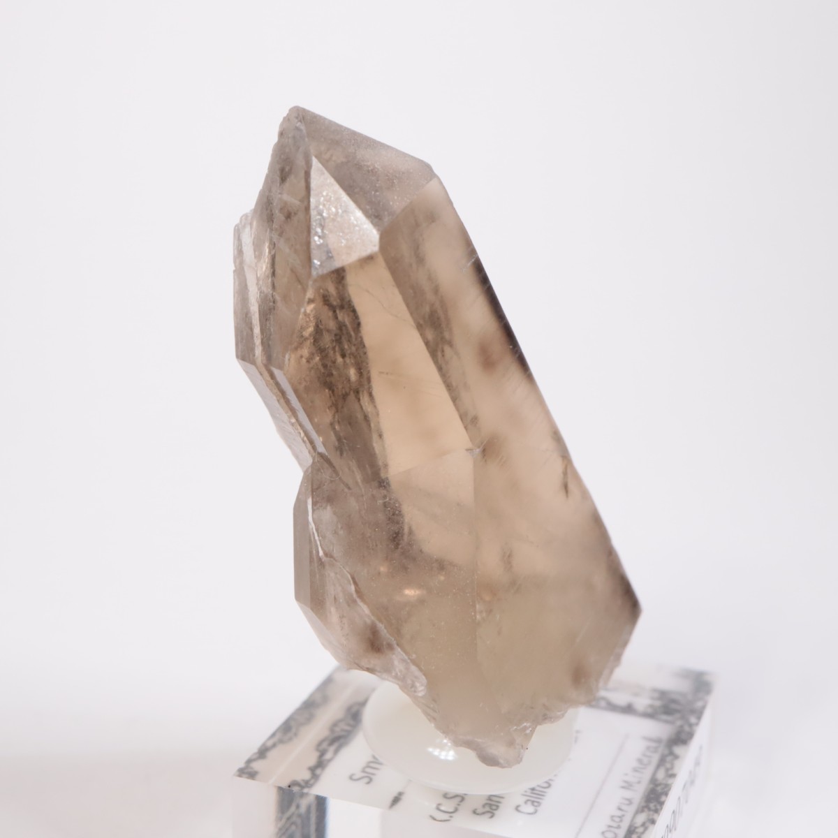 K.C.S.D�ۻ� ���⡼������������