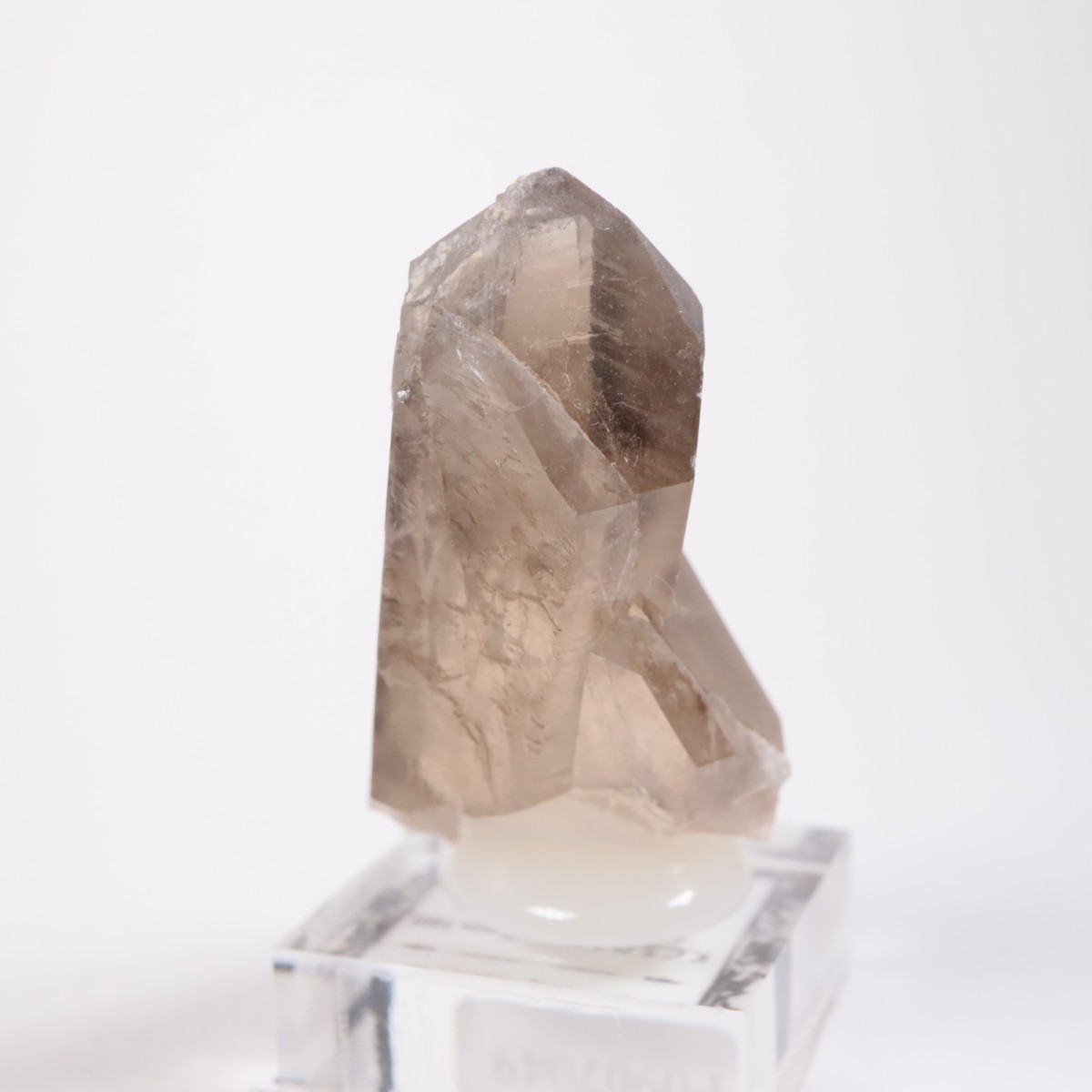 K.C.S.D�ۻ� ���⡼������������