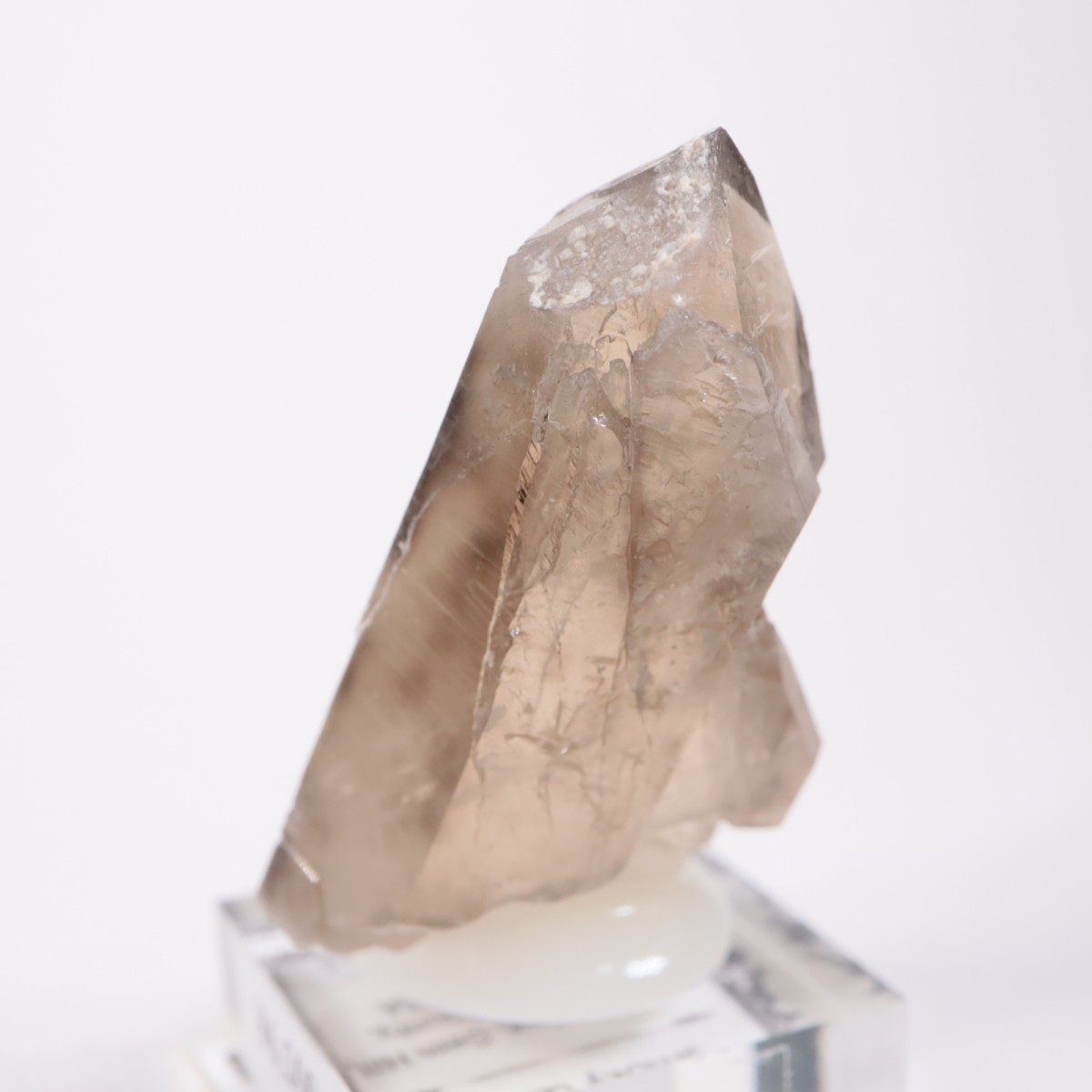 K.C.S.D�ۻ� ���⡼������������