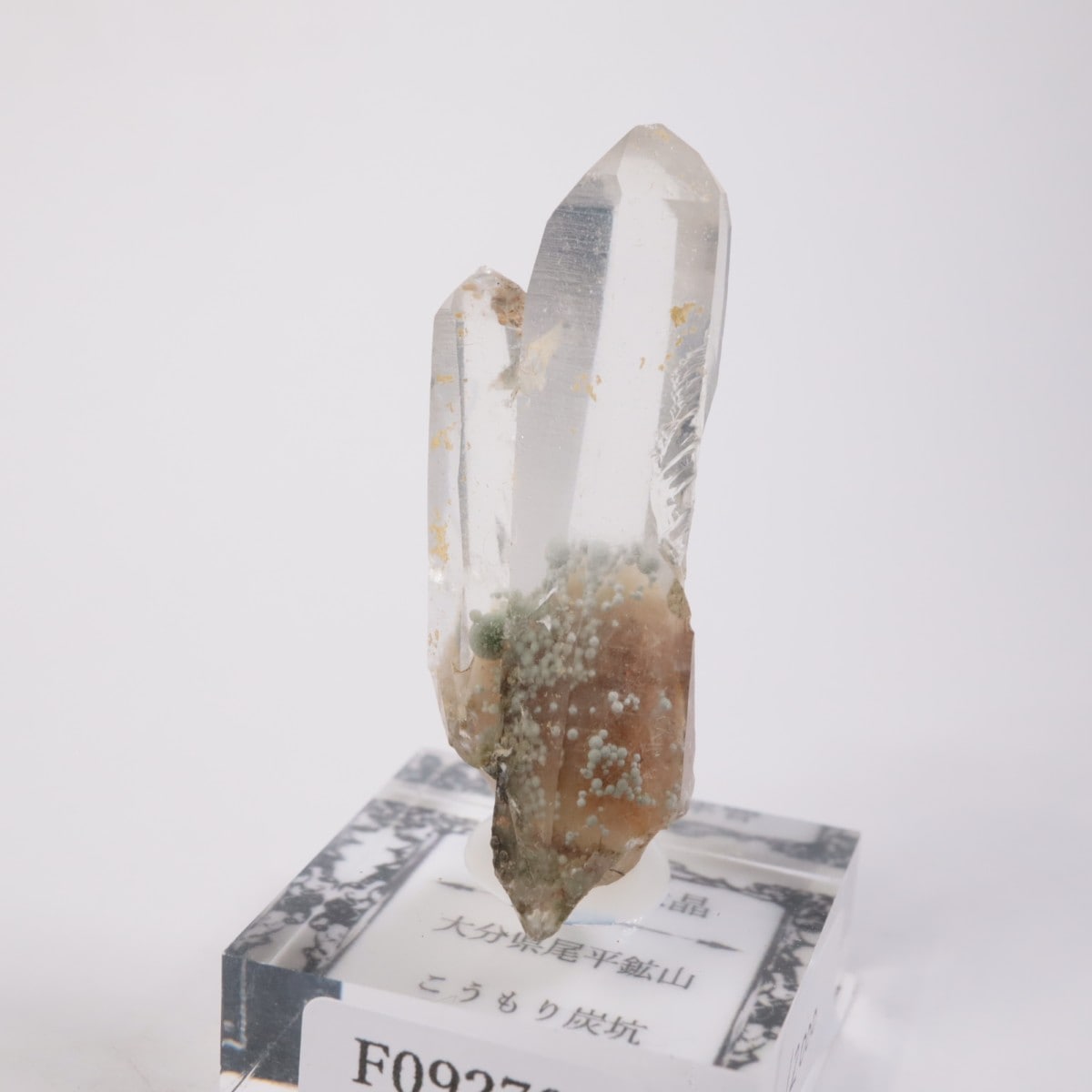 大分県尾平鉱山 まりも水晶 | 鉱物標本,カ行,クォーツ/水晶 | ほたるみ