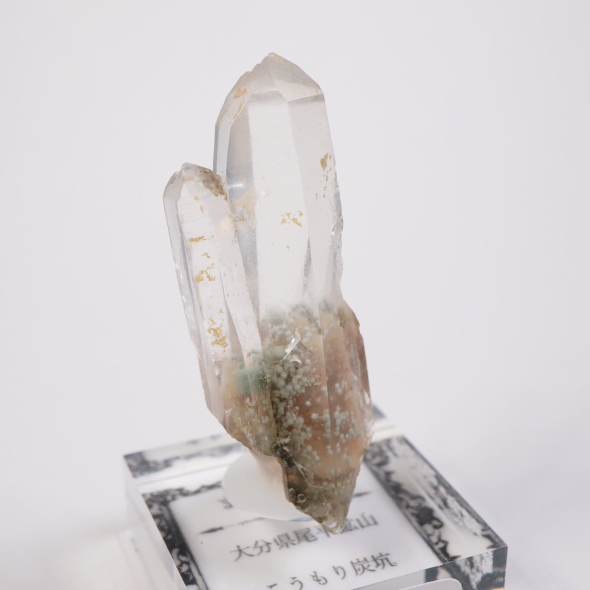 大分県尾平鉱山 まりも水晶 | 鉱物標本,カ行,クォーツ/水晶 | ほたるみ