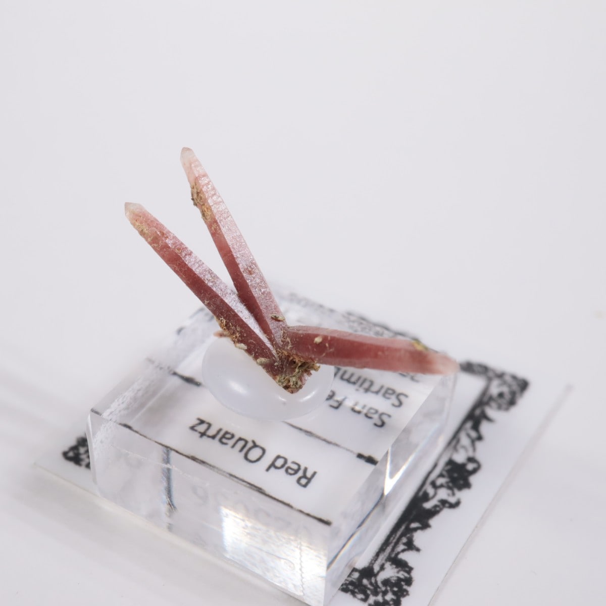 San Felipe�ۻ� ��åɥ�������