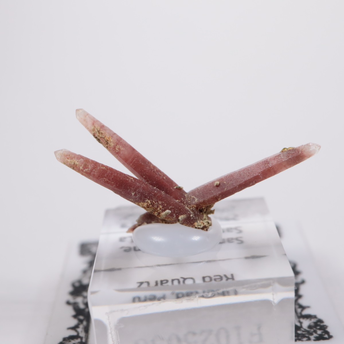 San Felipe�ۻ� ��åɥ�������