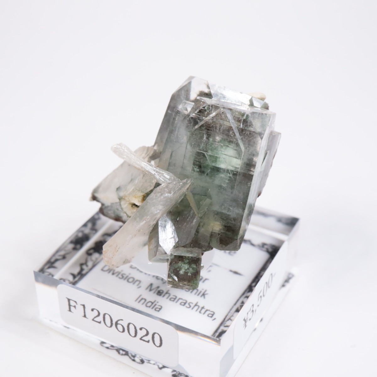 ����ɻ� ���ݥե��饤��