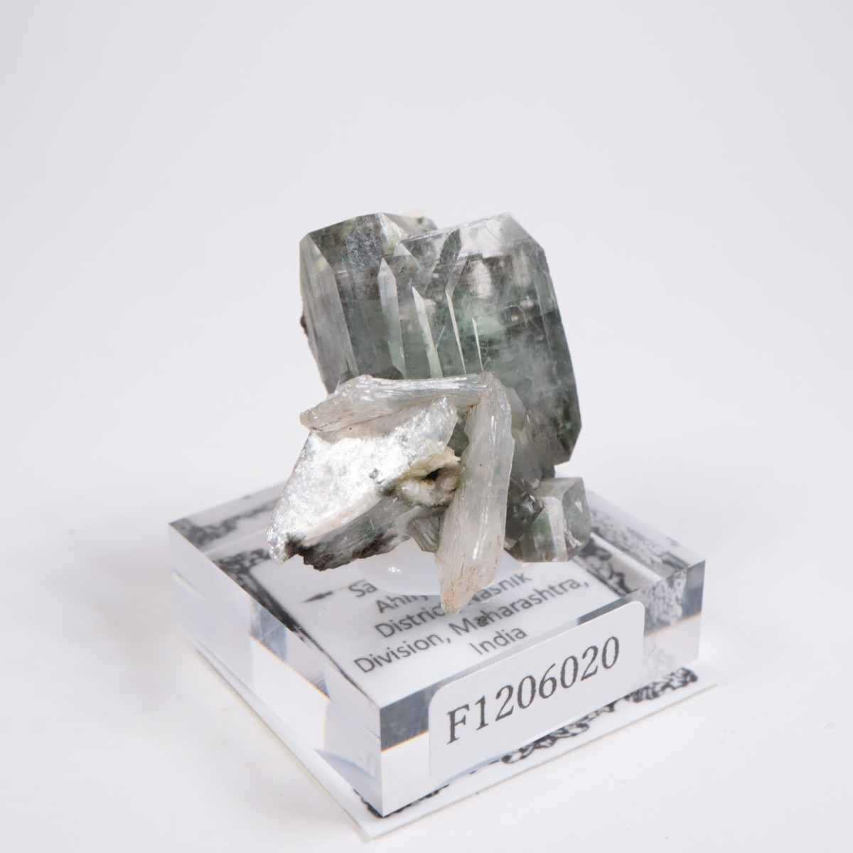 ����ɻ� ���ݥե��饤��