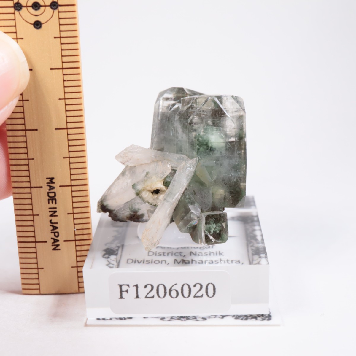 ����ɻ� ���ݥե��饤��