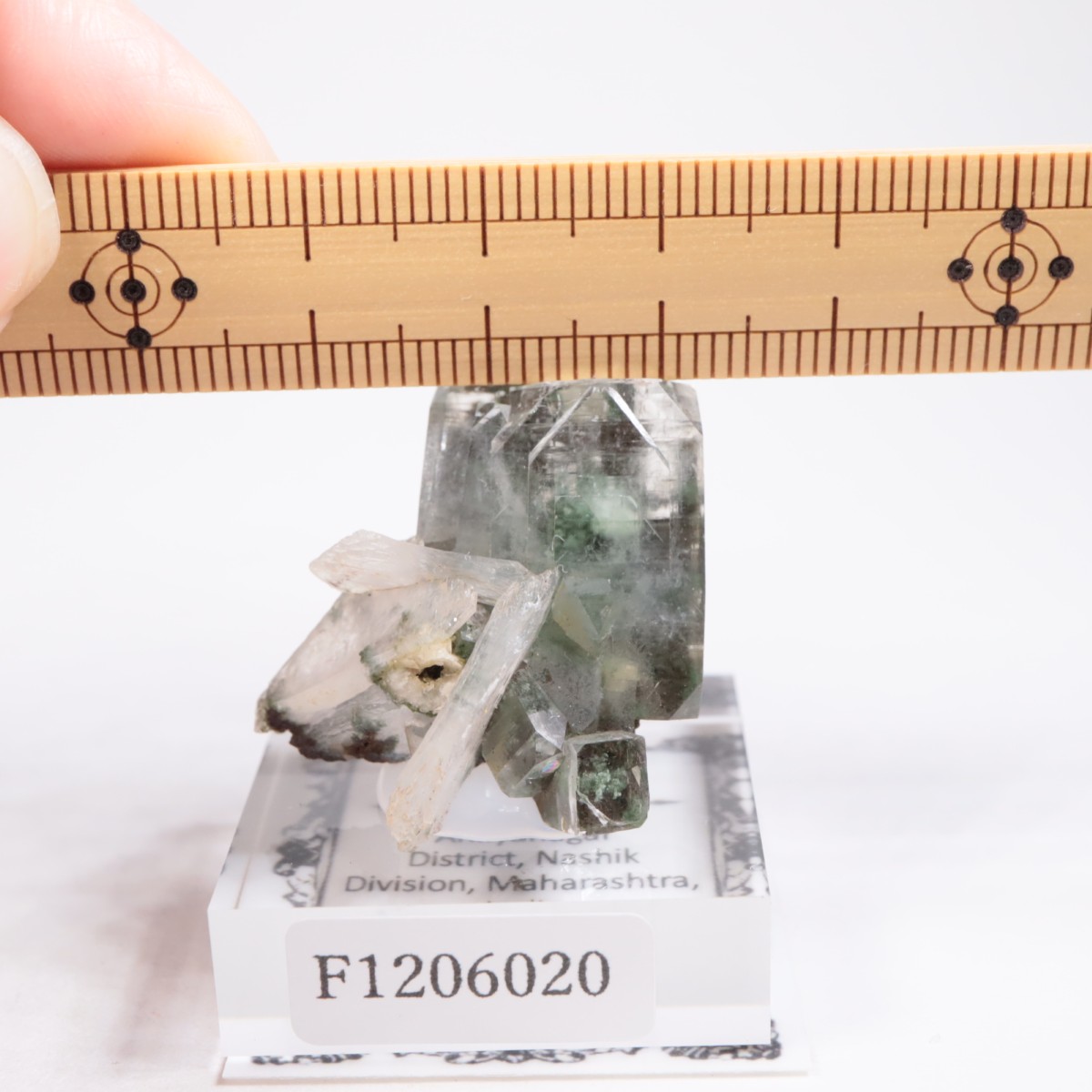 ����ɻ� ���ݥե��饤��