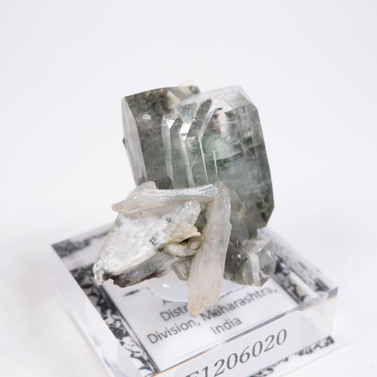 ����ɻ� ���ݥե��饤��