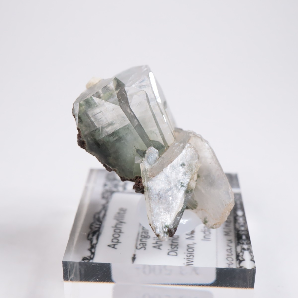 ����ɻ� ���ݥե��饤��