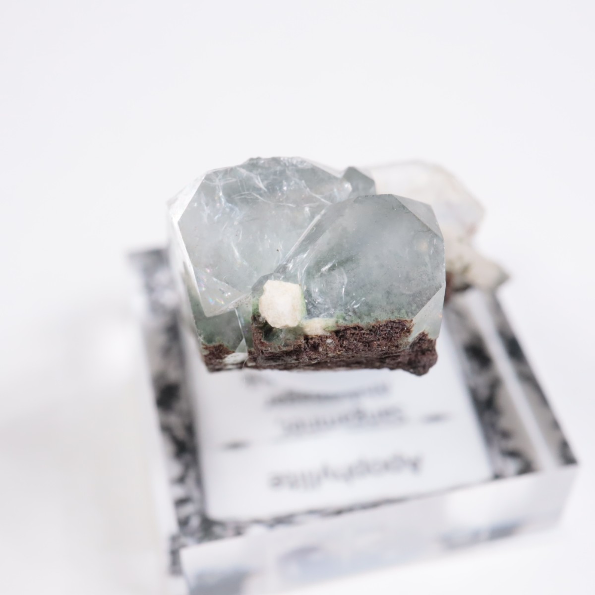 ����ɻ� ���ݥե��饤��