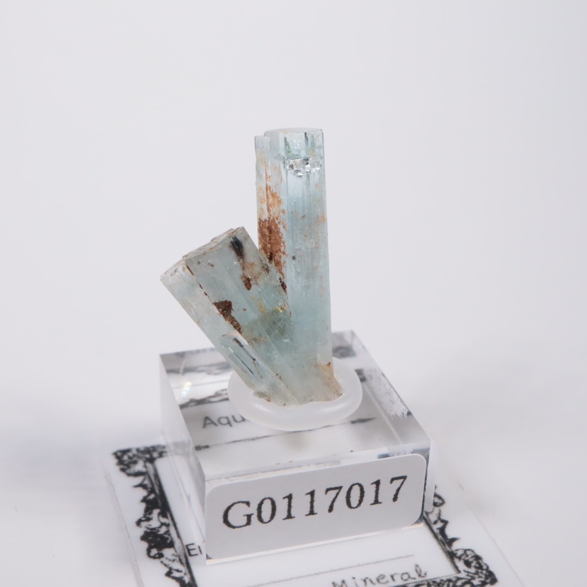 �����󥴹ۻ��� �������ޥ��