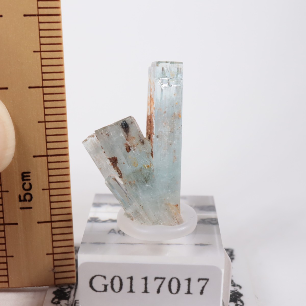 �����󥴹ۻ��� �������ޥ��