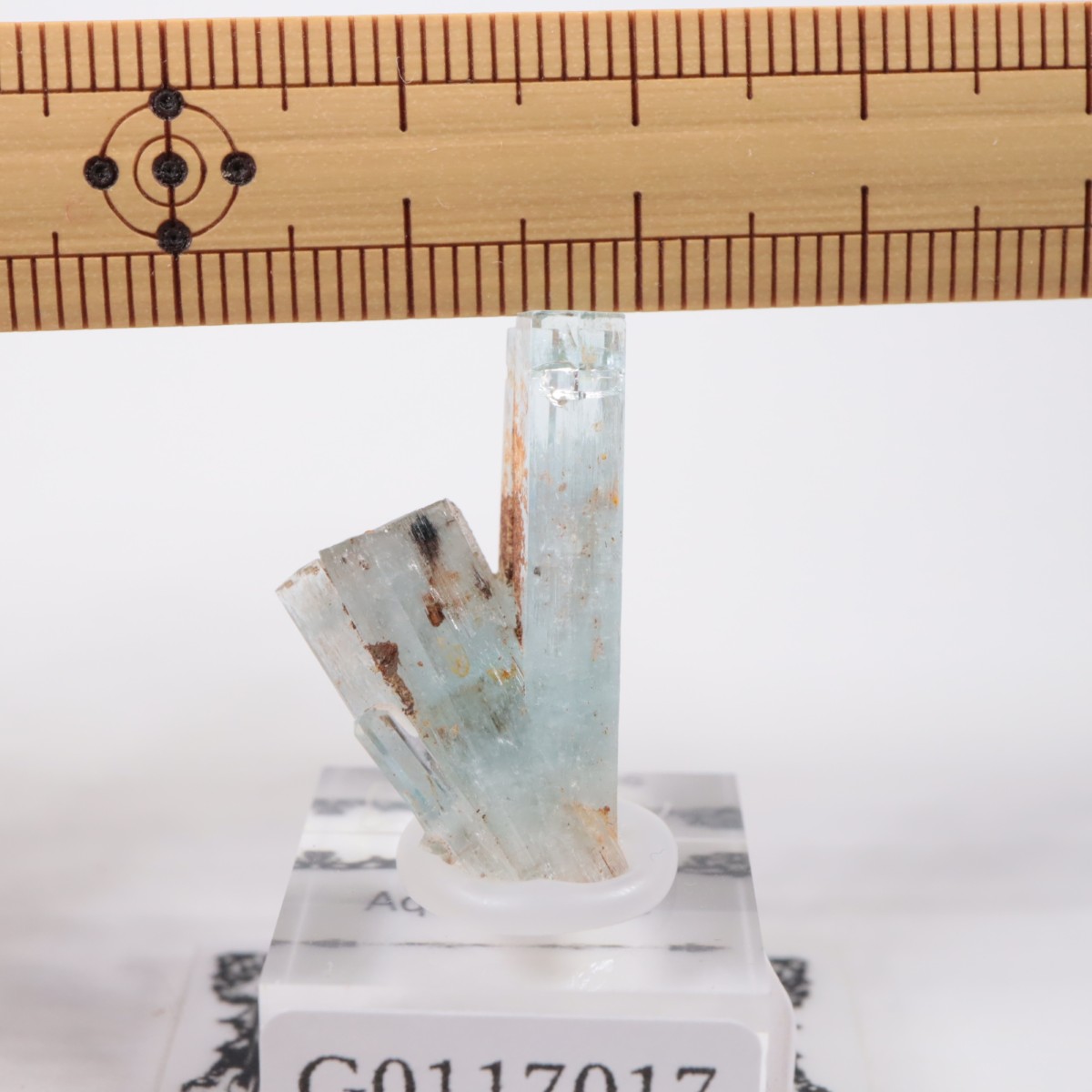 �����󥴹ۻ��� �������ޥ��