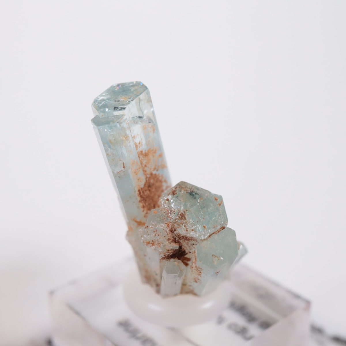 �����󥴹ۻ��� �������ޥ��