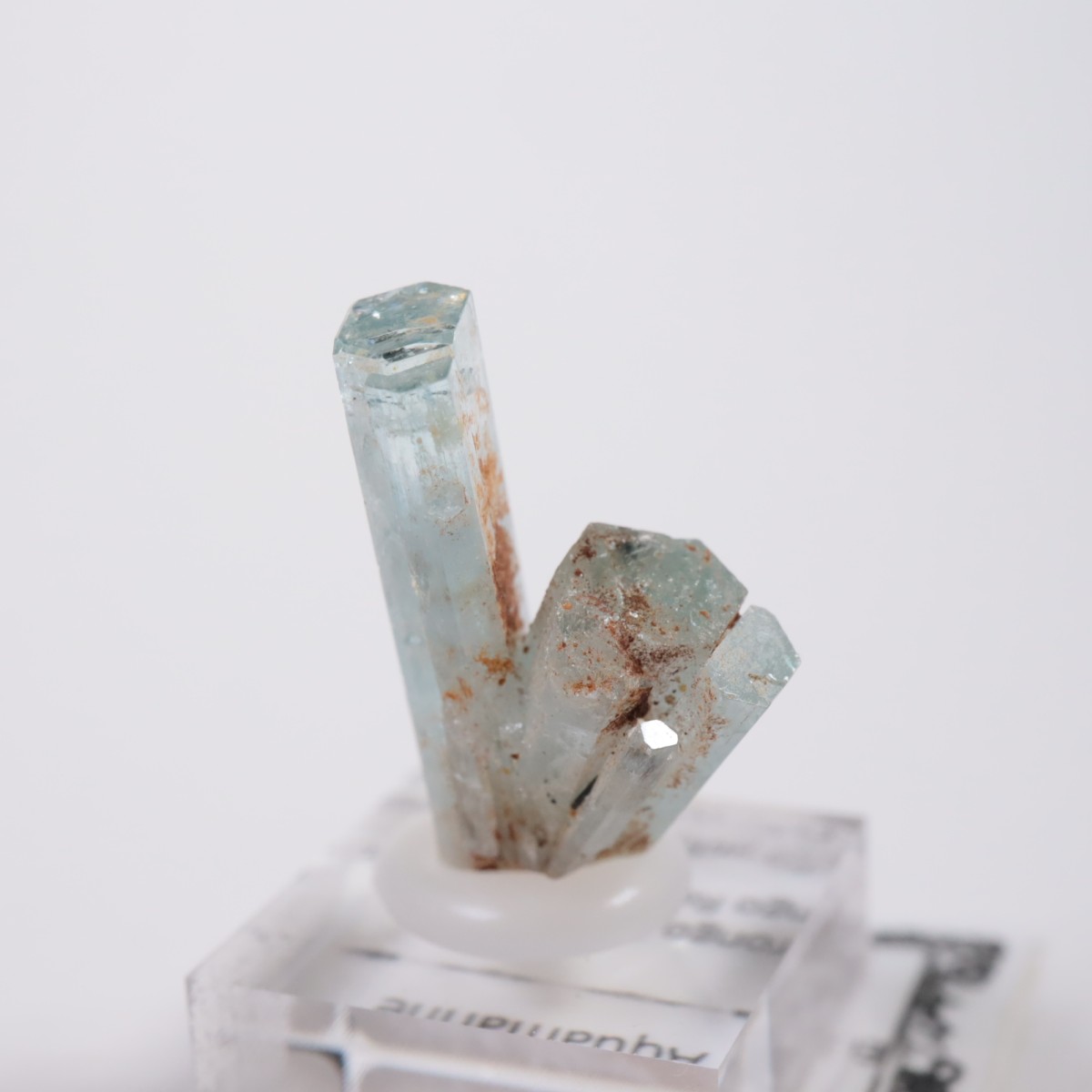 �����󥴹ۻ��� �������ޥ��