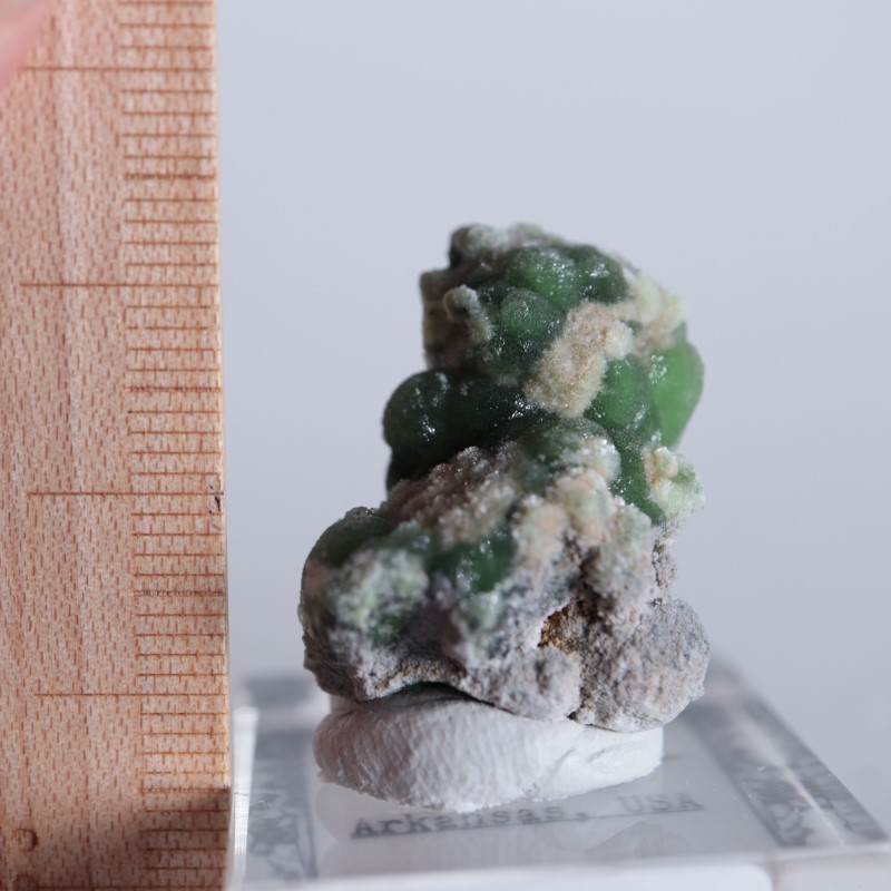 ����ꥫ����������