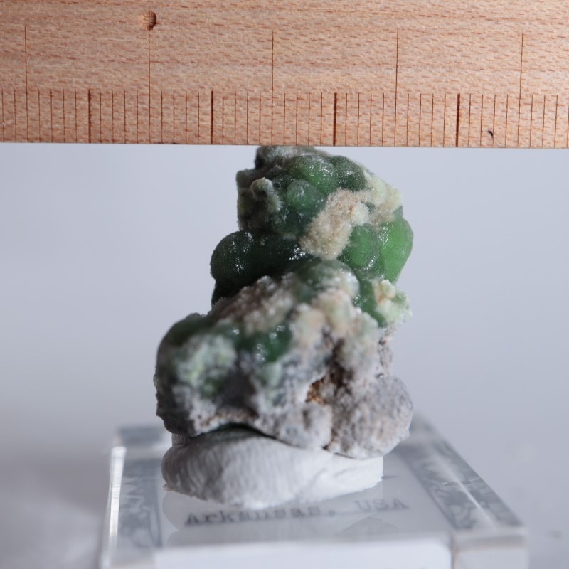 ����ꥫ����������