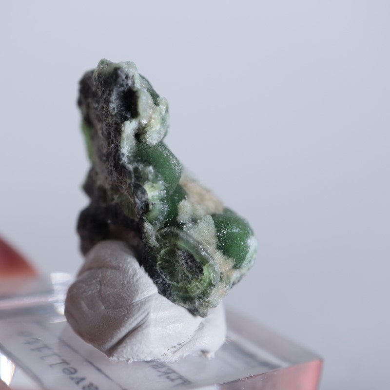 ����ꥫ����������