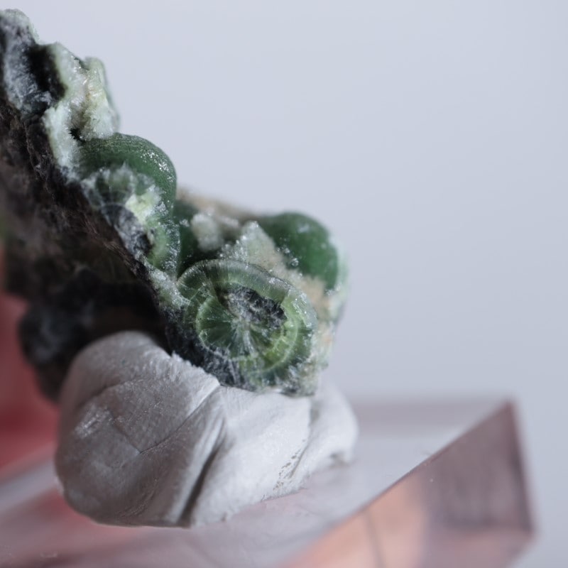 ����ꥫ����������