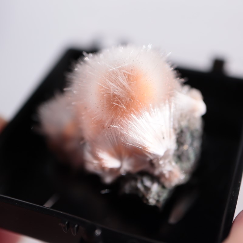 インド産 メソライト | 鉱物標本,ハ行,沸石 | ほたるみねらる