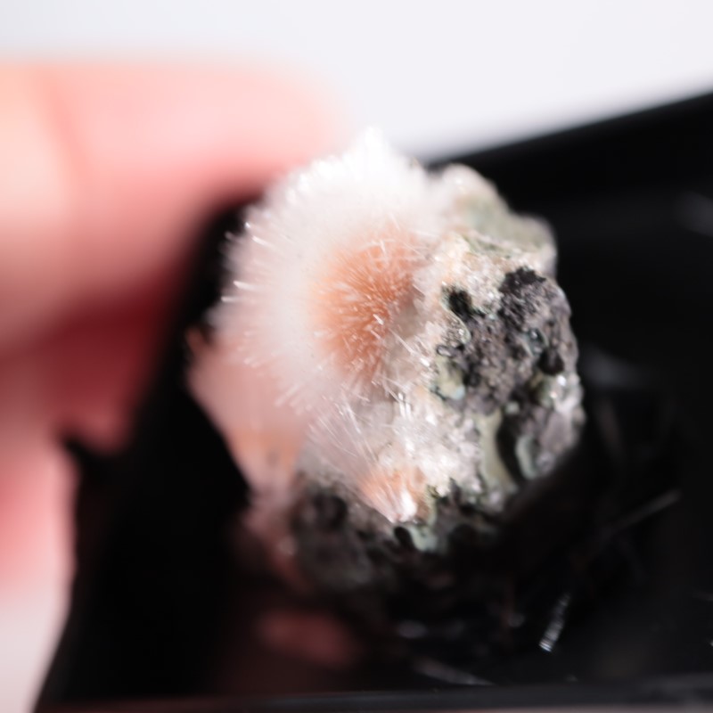 インド産 メソライト | 鉱物標本,ハ行,沸石 | ほたるみねらる