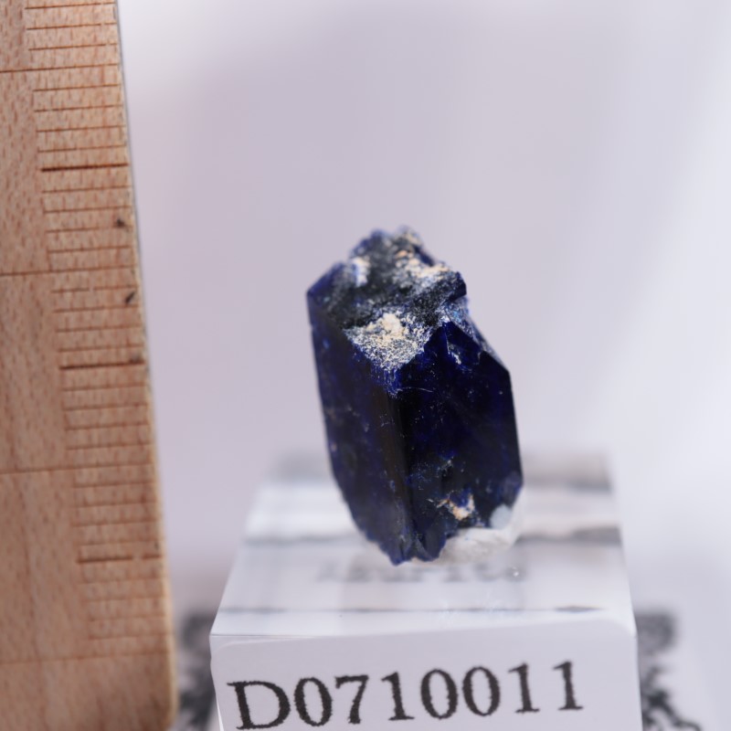 ����å����������饤��