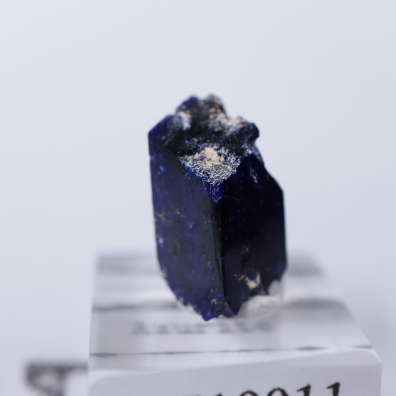 ����å����������饤��