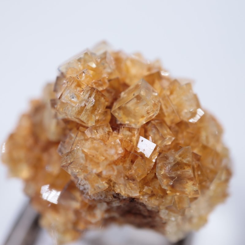 ヒルトン鉱山 フローライト | 鉱物標本,ハ行,フローライト/蛍石,フロー