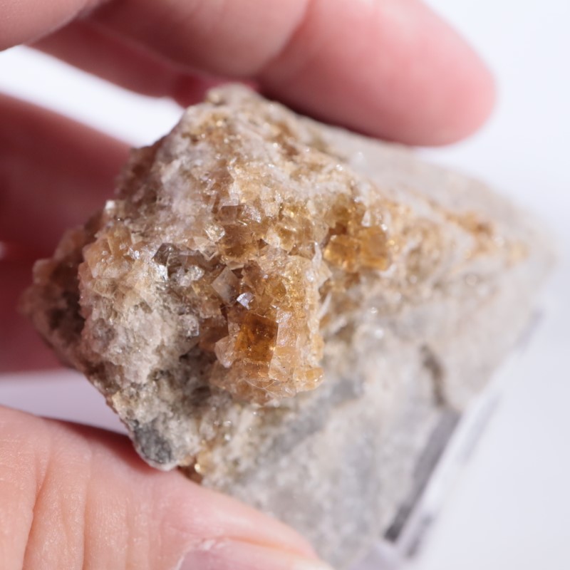 ���ϥ��������ե����饤��