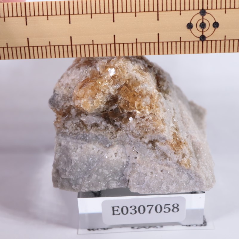 ���ϥ��������ե����饤��