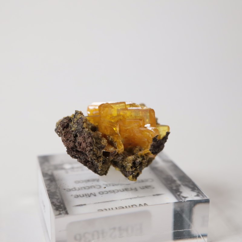 サンフランシスコ鉱山 ウルフェナイト | 鉱物標本,ア行,ウルフェナイト