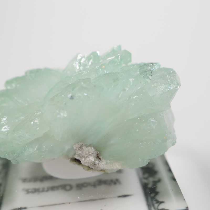 Wagholi�������ݥե��饤��