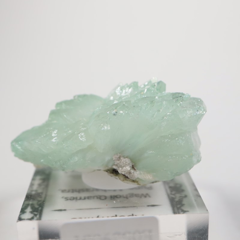 Wagholi�������ݥե��饤��