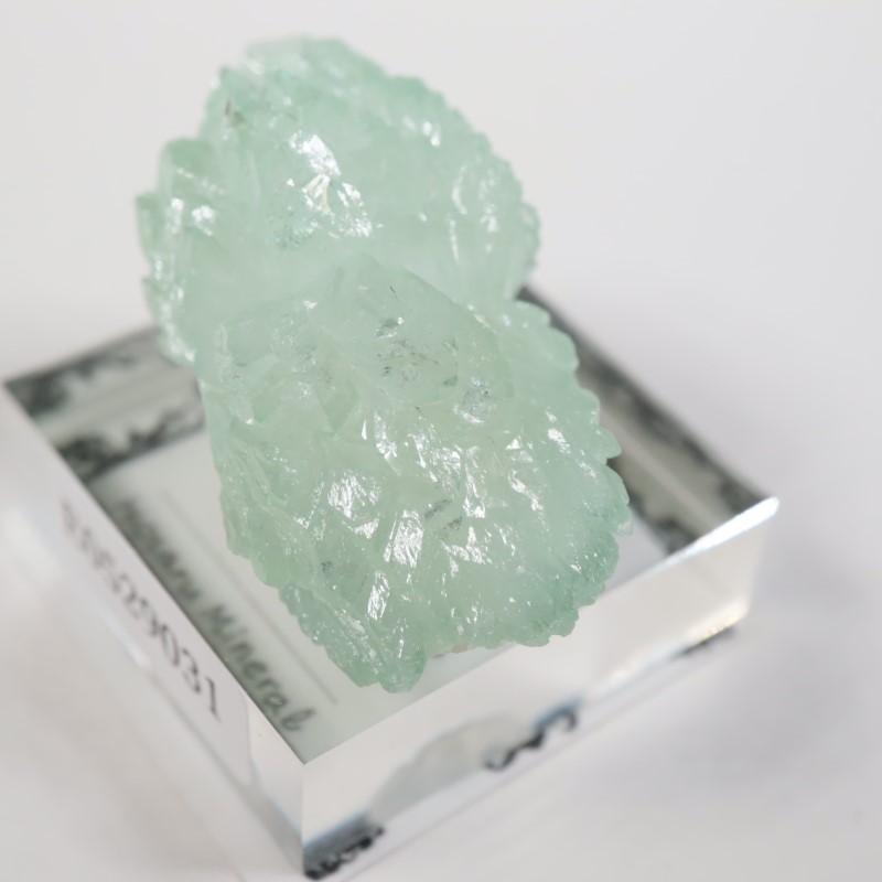 Wagholi�������ݥե��饤��