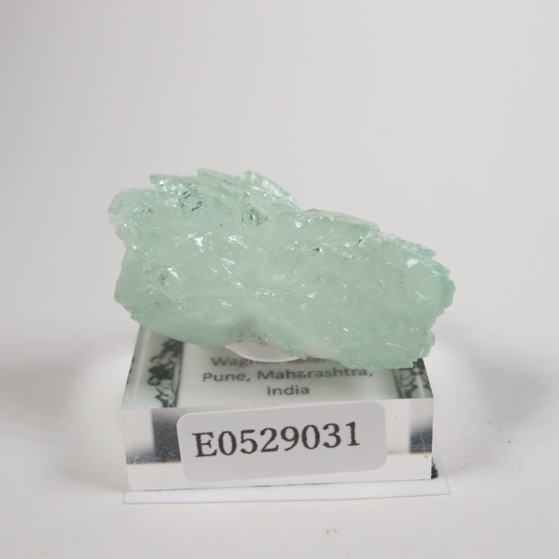 Wagholi�������ݥե��饤��