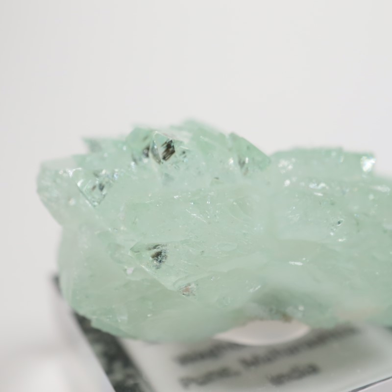 Wagholi�������ݥե��饤��