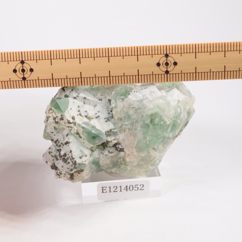 �����󥦥����뻺 �ե����饤��