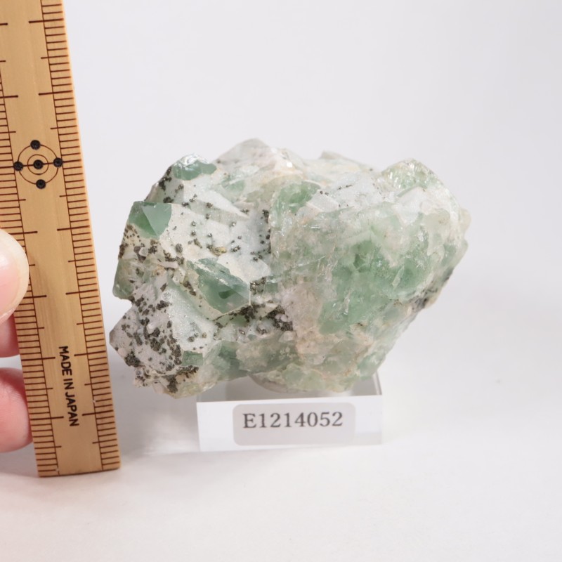 �����󥦥����뻺 �ե����饤��