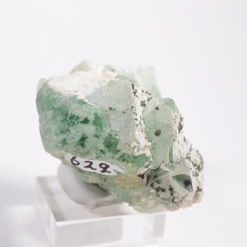 �����󥦥����뻺 �ե����饤��