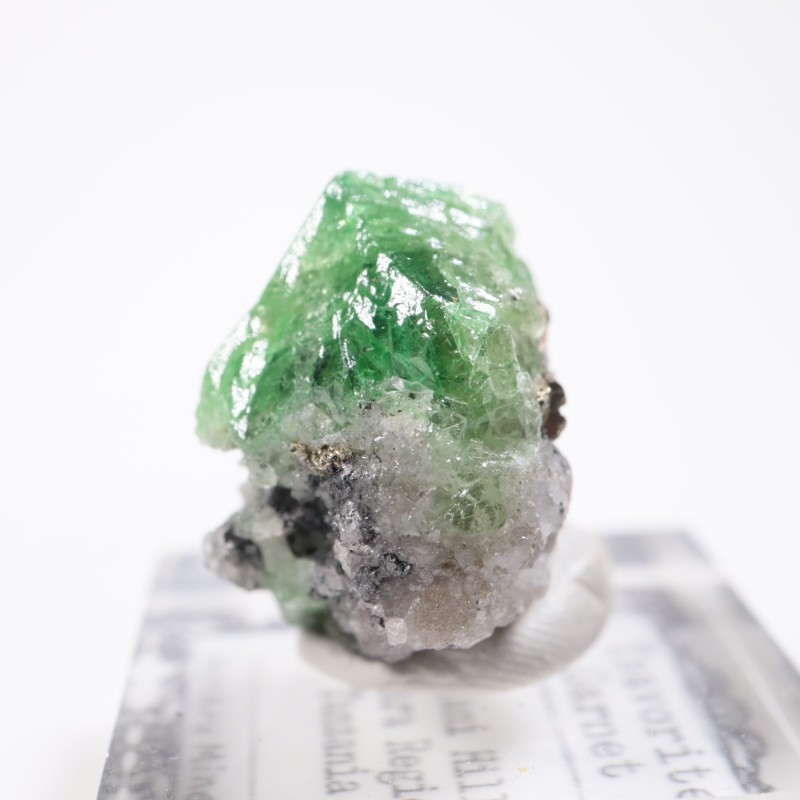 ����˥ҥ륺�� �����ͥå�