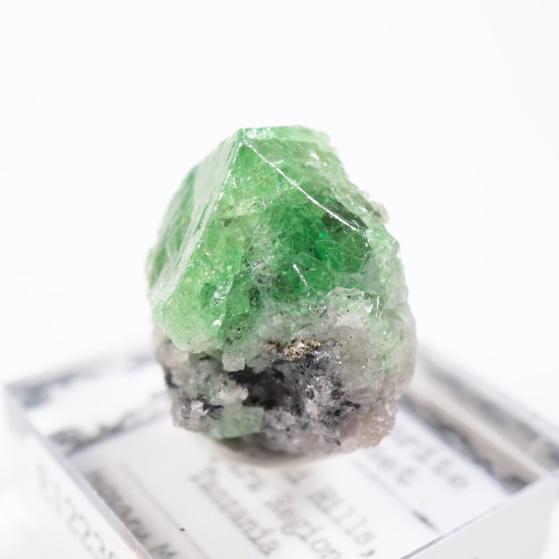 ����˥ҥ륺�� �����ͥå�