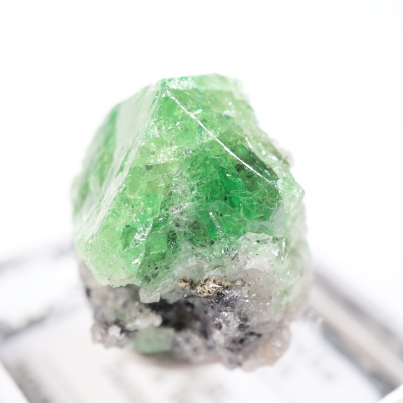 ����˥ҥ륺�� �����ͥå�