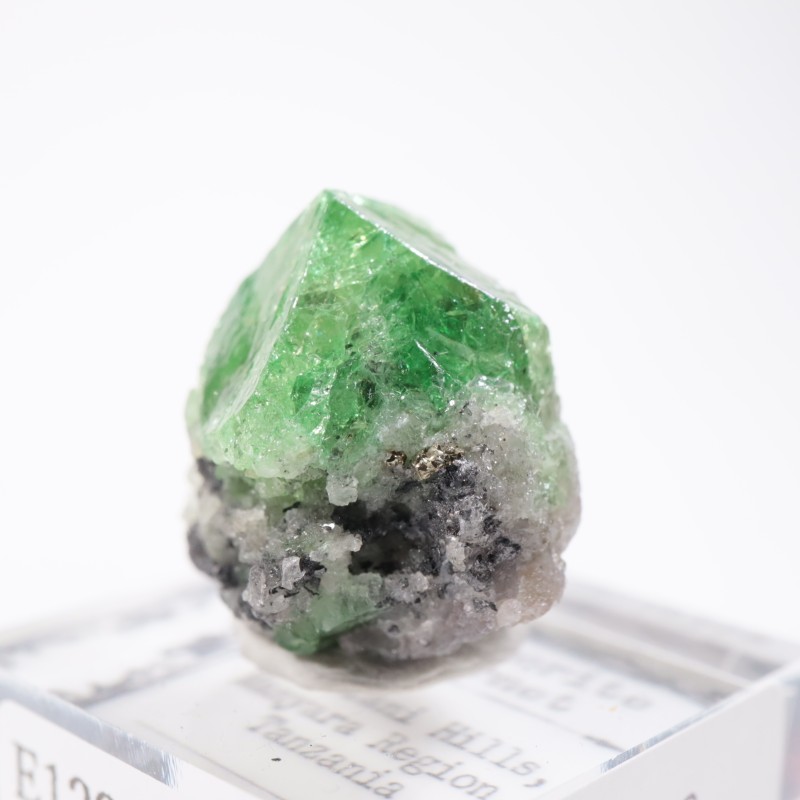 ����˥ҥ륺�� �����ͥå�